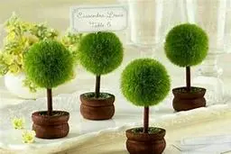 ۱۲ ایده خلاقانه برای سبزه عید ۱۴۰۴ | سفره هفت‌سین خود را خاص کنید! +تصاویر