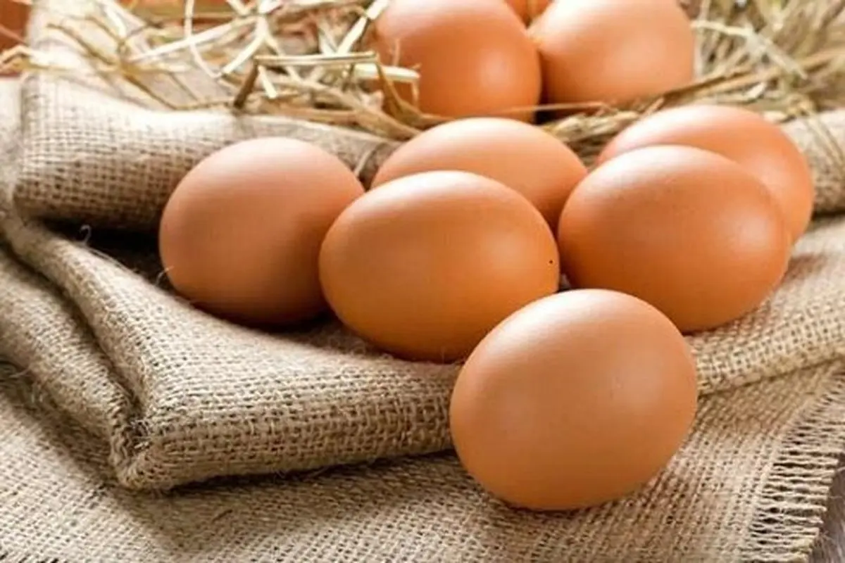 هرشانه تخم مرغ ۵۵ تا ۶۵ هزارتومان