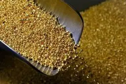 افت شدید قیمت طلا به سبب واکسن کرونا