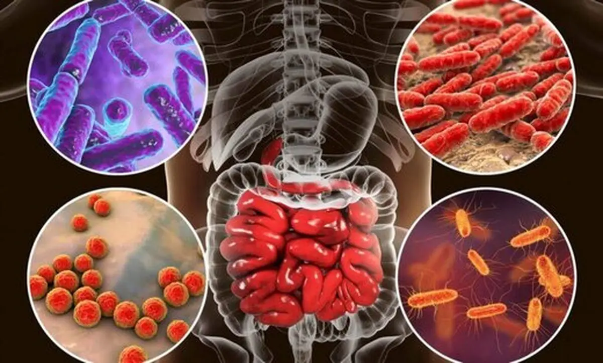 این باکتری‌های خطرناک در روده باعث افسردگی می‌شود | اینارو نخور تا افسرده نشی!
