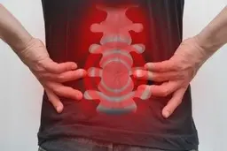 با کم تحرکی و تنبلی به استقبال پیری جسم خود بروید ! | عواقب کم تحرکی