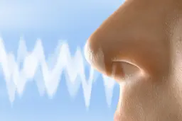 یک سوم بیماران کرونایی دچار اختلالات بویایی هستند 