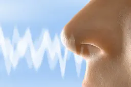 یک سوم بیماران کرونایی دچار اختلالات بویایی هستند 