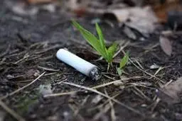 ته سیگار جان جوان ۲۶ ساله عجب شیری را گرفت