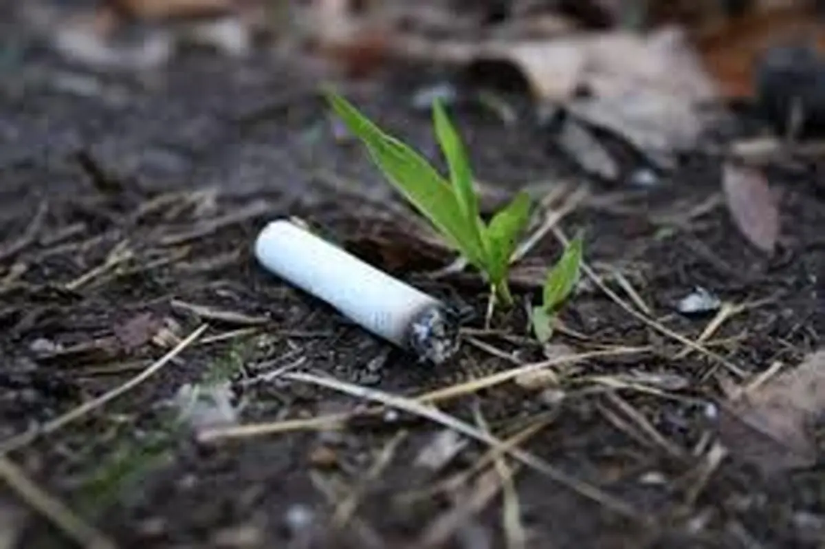 ته سیگار جان جوان ۲۶ ساله عجب شیری را گرفت