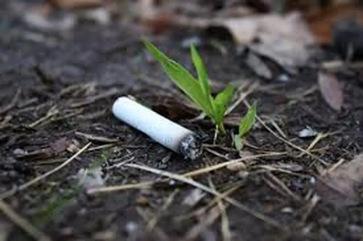 ته سیگار جان جوان ۲۶ ساله عجب شیری را گرفت