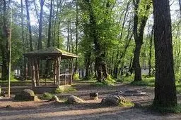 ساعات دلهره آور برای دختر ۳ ساله در جنگل چالوس + جزئیات