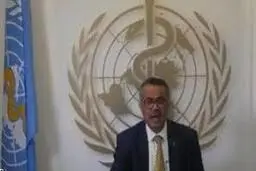 سازمان جهانی بهداشت: تولید واکسن کرونا تا 16 ماه طول می‌کشد 