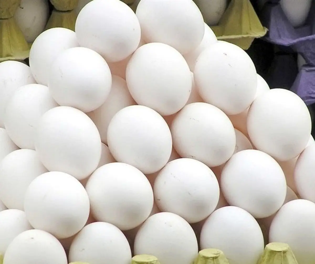 تخم مرغ شانه ای 50 هزار تومان؟!| دولت دقیقا چه کار می کند؟