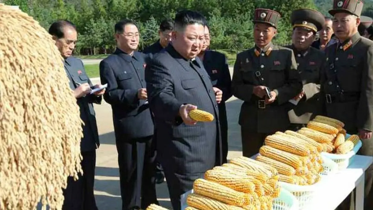 چرا کره شمالی غذای کافی ندارد؟