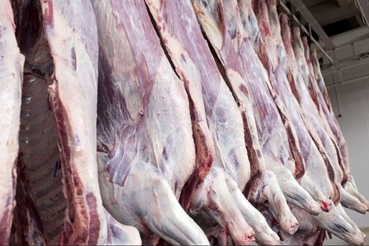کاهش ۵۰ درصدی مصرف گوشت قرمز |  ۴ میلیون راس بره نر در دست دامداران مانده است