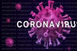 
وزارت بهداشت: 21 بیمار مبتلا به کرونا در قم درمان شدند
