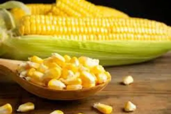 روش دون کردن ذرت به سبک سنتی و سالم | بهترین روش برای مزه دار کردن ذرت و دون کردن آن