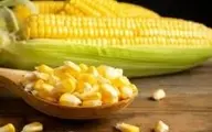روش دون کردن ذرت به سبک سنتی و سالم | بهترین روش برای مزه دار کردن ذرت و دون کردن آن