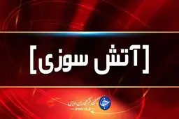 ساختمان ۳ طبقه تجاری در محدوده بازار بزرگ در آتش سوخت