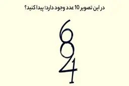 تست هوش  |  10 عدد پنهان شده در تصویر را پیدا کنید؟ + پاسخ