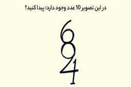 تست هوش  |  10 عدد پنهان شده در تصویر را پیدا کنید؟ + پاسخ