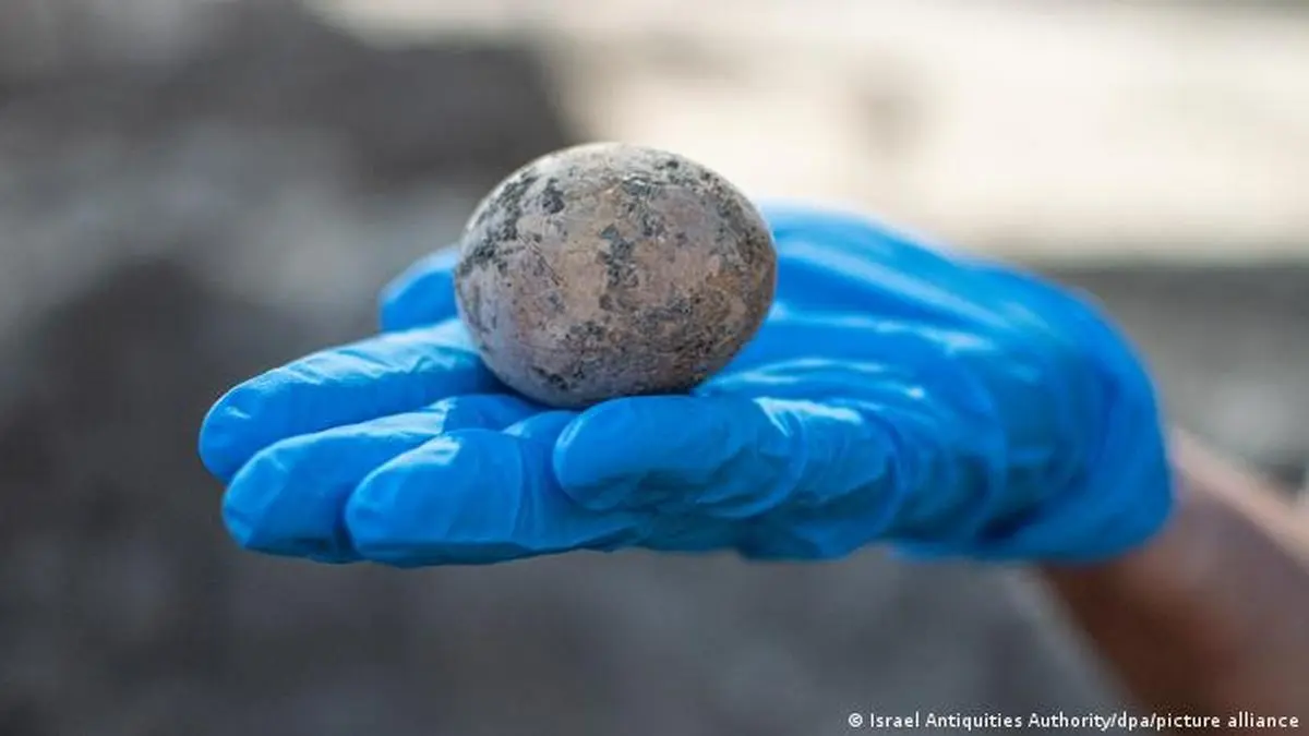 کشف تخم مرغ یک هزار ساله در اسرائیل