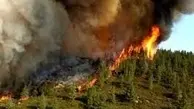 آتش جنگل الیت چالوس بازگشت؛ شعله‌ور شدن دوباره در ۴ نقطه