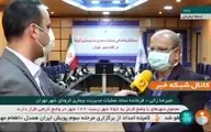 زالی: هر 16دقیقه یک شهروند تهرانی را از دست دادیم + ویدئو