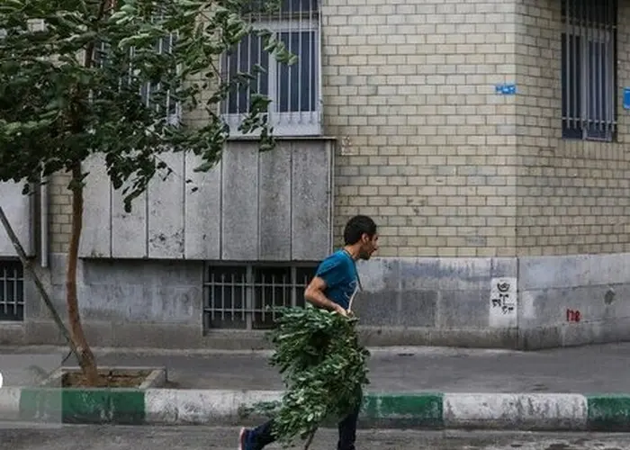 هشدار نسبت به وزش تندباد در تهران