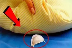 یک حبه سیر زیر بالشتان بگذارید و معجزه‌اش را ببینید | تمام عمر از معجزه‌ی این کار غافل بودید