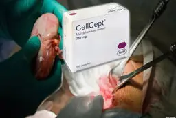 در ماندگی بیماران پیوندی برای خرید قرص «سلسپت» 