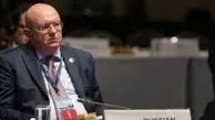  اقدام جالب دیپلمات روس در شورای امنیت؛ مچ‌گیری از اشتباه مترجم+ویدئو