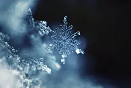 شبیه سازی فیزیک کوانتومی | تولد سرد ترین ماده جهان در آزمایشگاه