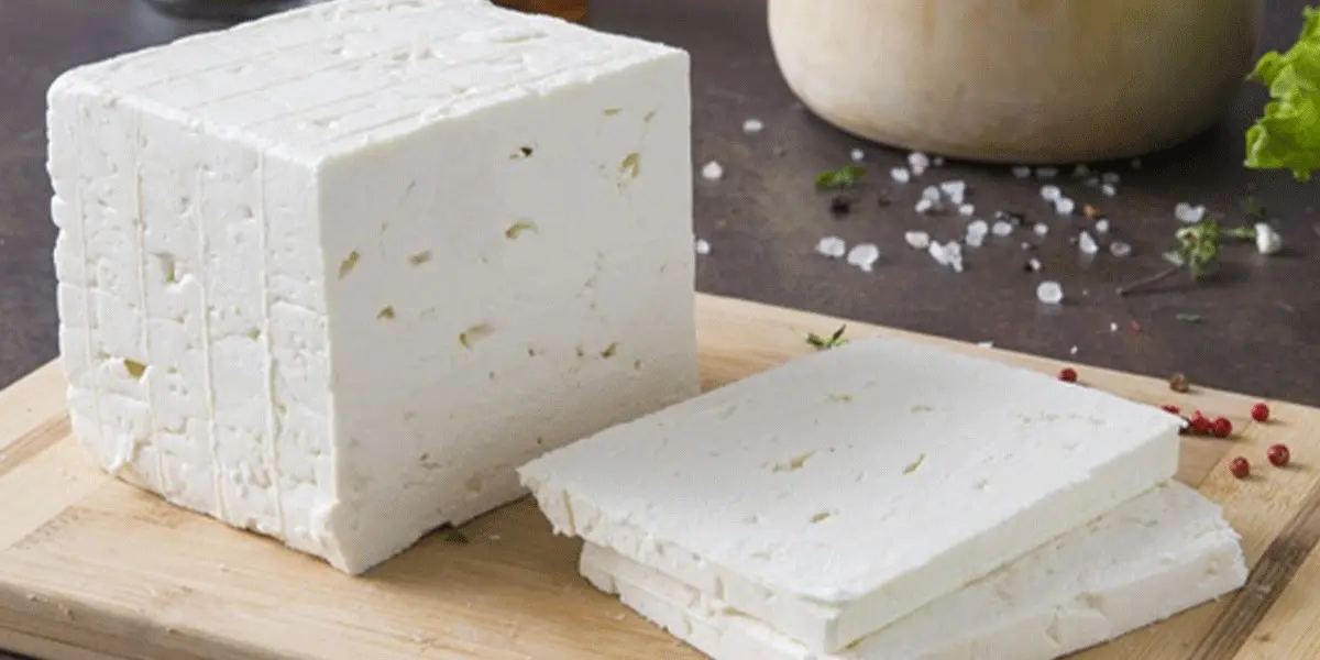 با این روش ساده نزار پنیرت کپک بزنه! | ترفند جلوگیری از کپک زدن پنیر +ویدئو
