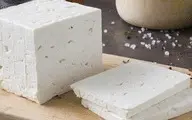 با این روش ساده نزار پنیرت کپک بزنه! | ترفند جلوگیری از کپک زدن پنیر +ویدئو