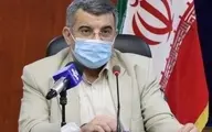 
حریرچی: مردم تا واکس ایرانی کرونا به تولید برسد تحمل کنند
