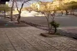 جوانان نارنجک به دست در شرق تهران+ویدئو