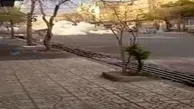 جوانان نارنجک به دست در شرق تهران+ویدئو