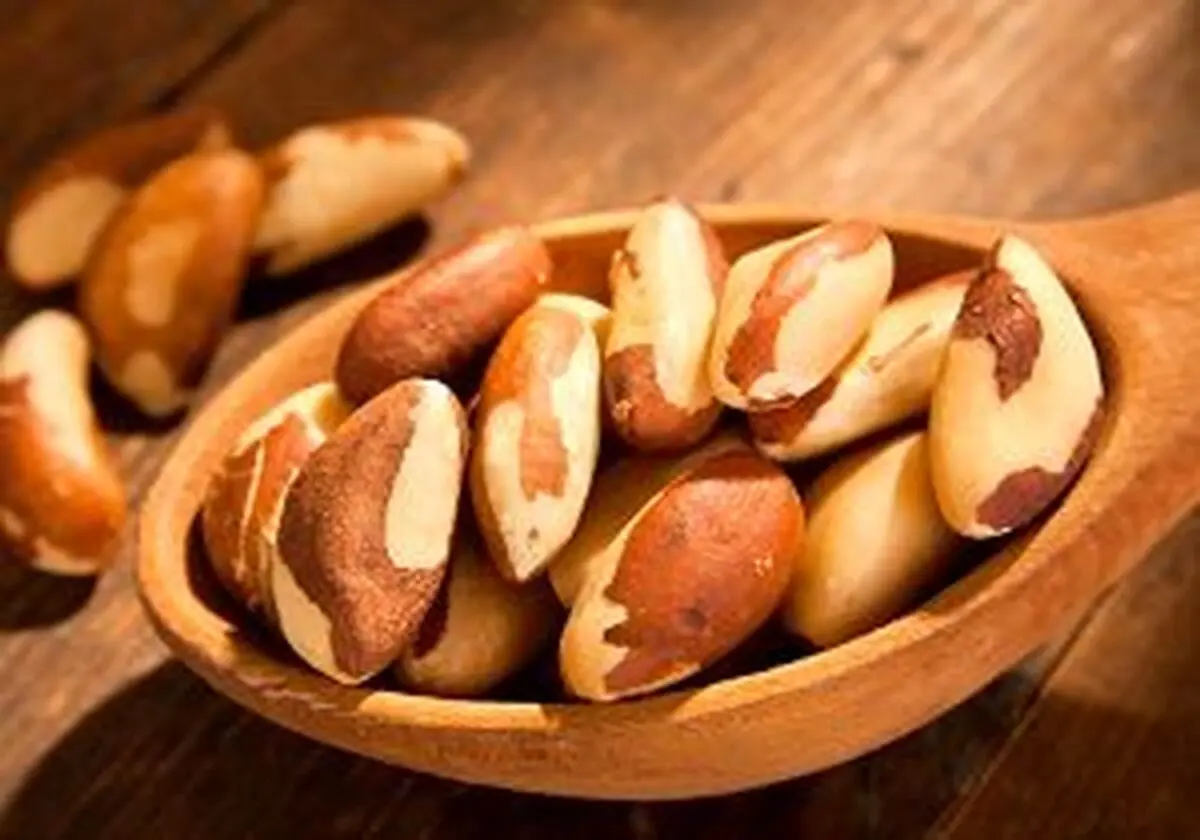 مضرات بادام زمینی را بشناسید 