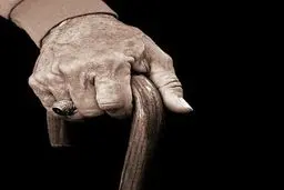 بلایی که بی تحرکی بر سر سالمندان می آورد| تاثیر بی تحرکی در زوال مغز