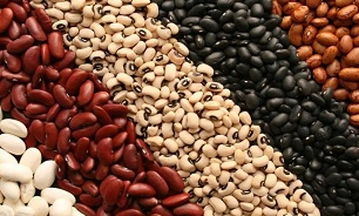 افزایش قیمت حبوبات در سایه غفلت سازمان حمایت 
