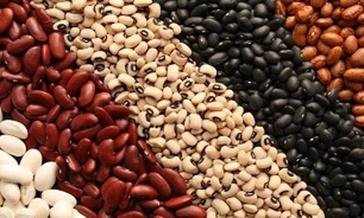 افزایش قیمت حبوبات در سایه غفلت سازمان حمایت 