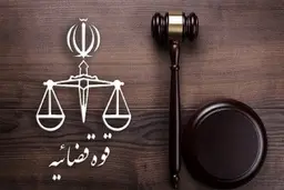 دادستانی تهران علیه یکی از مقامات سابق دولت دوازدهم اعلام جرم کرد