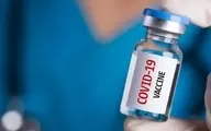 عضو ستاد ملی کرونا: روی واکسن کرونای تولید داخل زیاد حساب باز نکنید