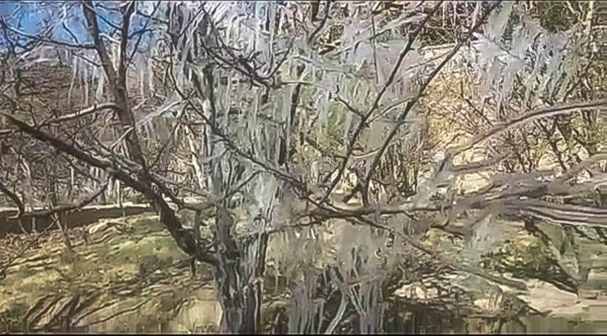 سرما کشاورزی یزد را به باد داد