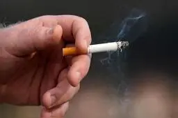 مافیا مخالف حمایت از کشاورز است | ۷۵ درصد بازار دست خارجی‌ها است