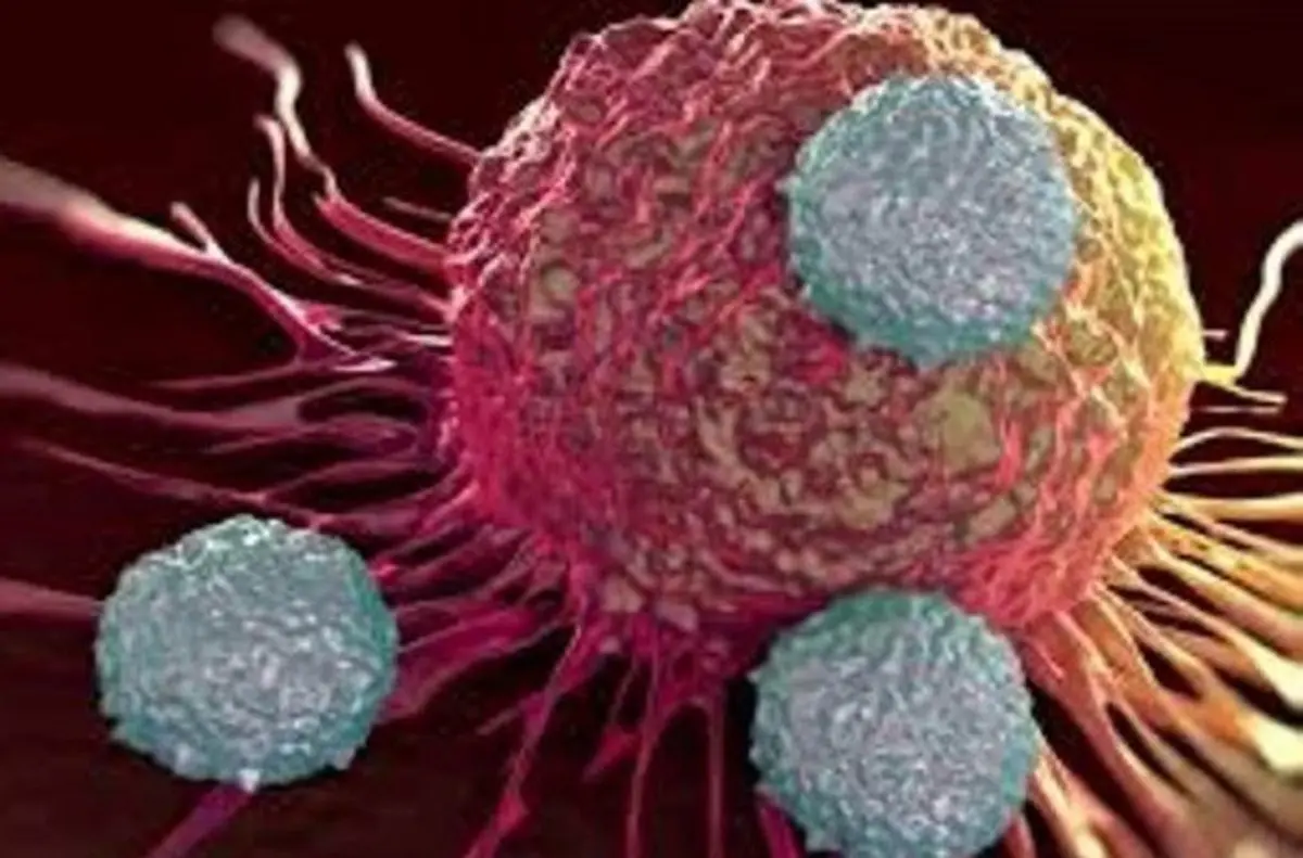 مطالعه جدید درباره ارتباط بین عوارض کووید ۱۹ و ویژگی‌های خاص سرطان