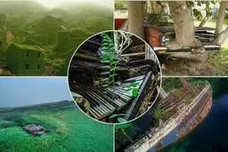 تصاویر دیدنی از نبردی که در آن طبیعت موفق به شکست تمدن می‌شود