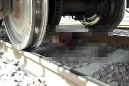 جوان تهرانی زیر قطار له شد |  در تاریکی شب جان داد