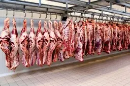 مدیرعامل اتحادیه دامداران: قیمت گوشت باید حداکثر ۱۲۰ هزار تومان باشد اما تا ۱۸۰ هزار تومان عرضه می شود  | کشتار دام های مولد ۱۵ درصد افزایش داشته