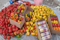 سرگردانی بیش از ۱۰۰ تن فلفل پس از ممنوعیت صادراتی روسیه