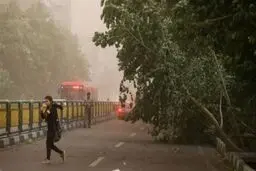 
هشدار هواشناسی نسبت به وزش باد شدید تا ۱۱۰ کیلومتر سرعت
