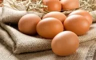 تخم‌مرغ جایگزین گوشت شد | قیمت هر شانه تخم مرغ ۴۶ هزار تومان