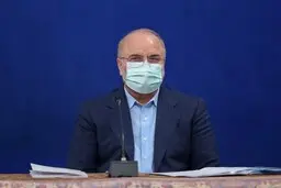 
 اقتصاد دولتی تبدیل به کوه رانت شده است 